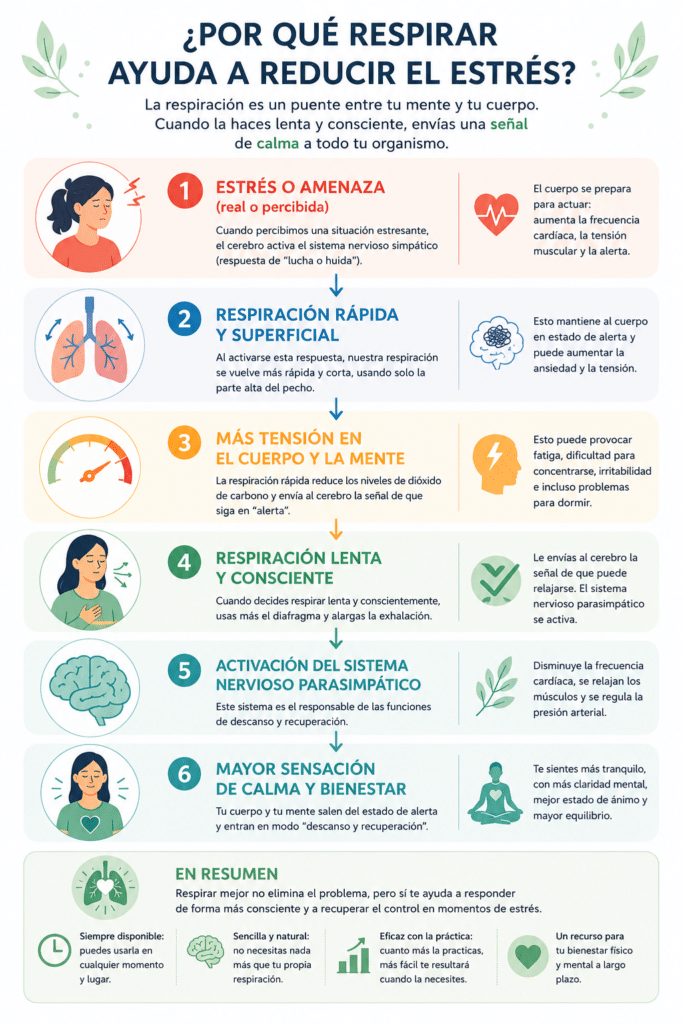 Infografía que muestra cómo la respiración lenta y consciente ayuda a reducir el estrés al favorecer la relajación del organismo.